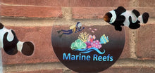 Load image into Gallery viewer, Black Davinci Clownfish Pair WYSIWYG