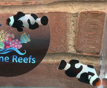 Load image into Gallery viewer, Black Davinci Clownfish Pair WYSIWYG