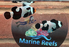 Load image into Gallery viewer, Black Davinci Clownfish Pair WYSIWYG