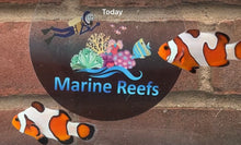 Load image into Gallery viewer, Davinci Clownfish Pair WYSIWYG