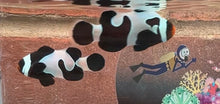 Load image into Gallery viewer, Black Davinci Clownfish Pair WYSIWYG