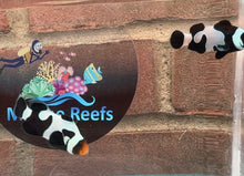 Load image into Gallery viewer, Black Davinci Clownfish Pair WYSIWYG