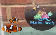 Load image into Gallery viewer, WYSIWYG Clownfish Pair